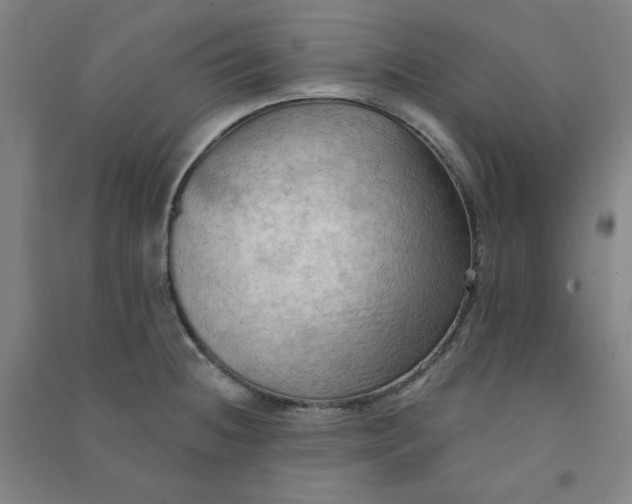 X0000090911236200708201733