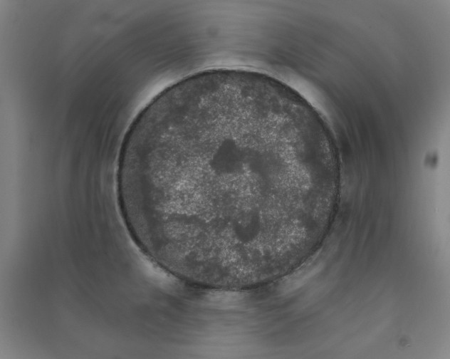 X0000090911237200708201734