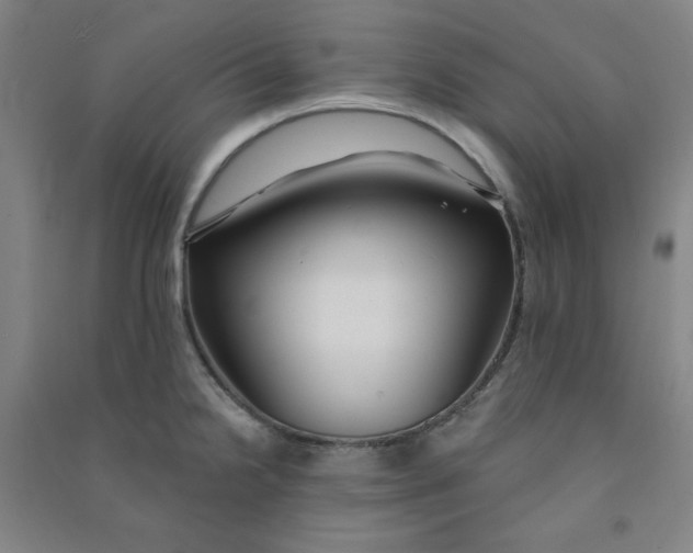 X0000090911238200708201734