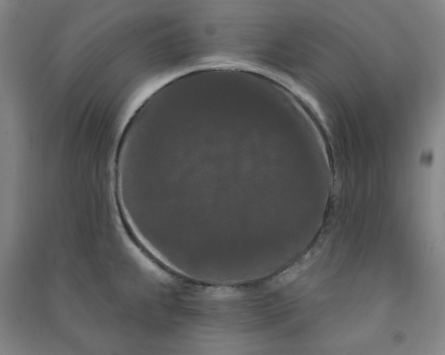 X0000090911239200708201734