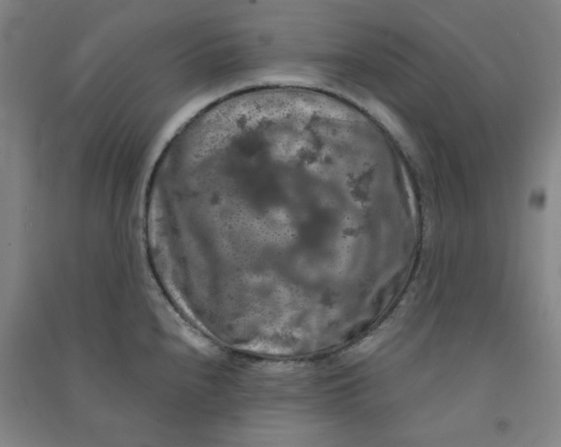 X0000090911240200708201734