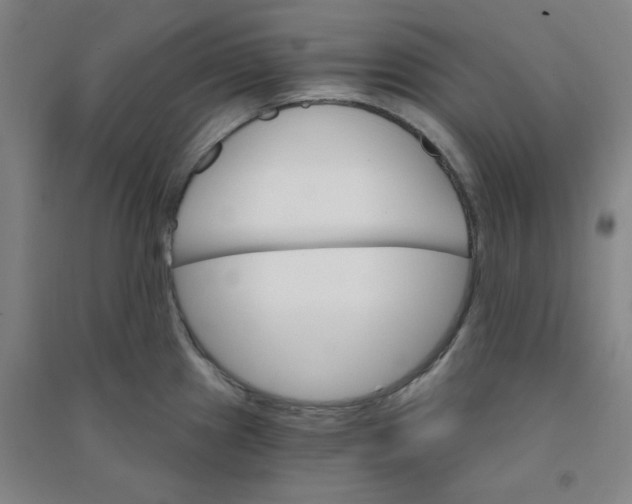 X0000090911241200708201734