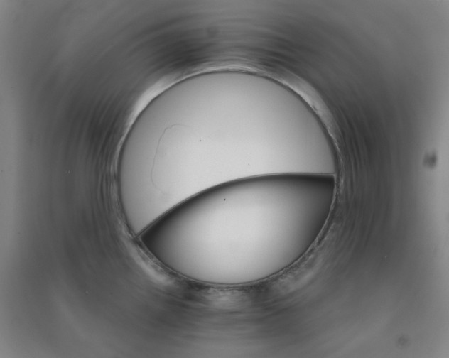 X0000090911242200708201734