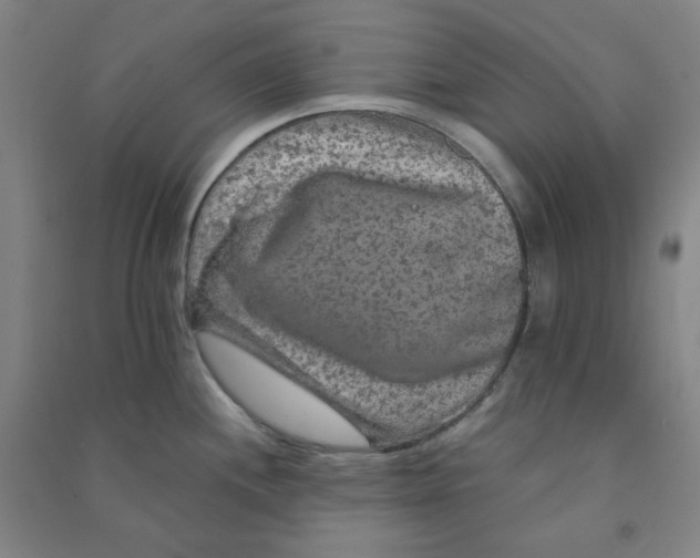 X0000090911244200708201734