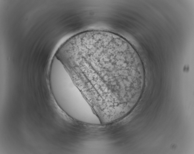 X0000090911248200708201734