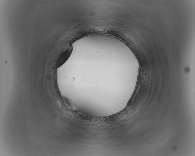 X0000090911249200708201733