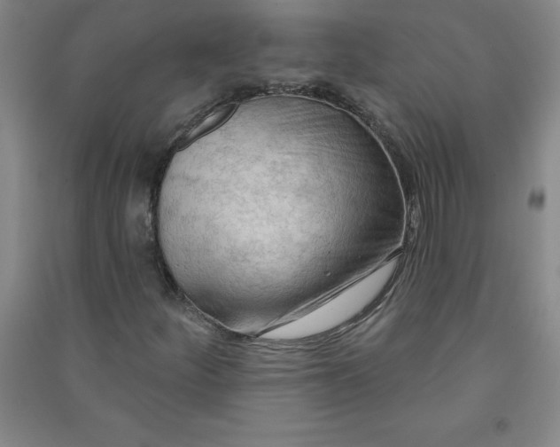 X0000090911252200708201733