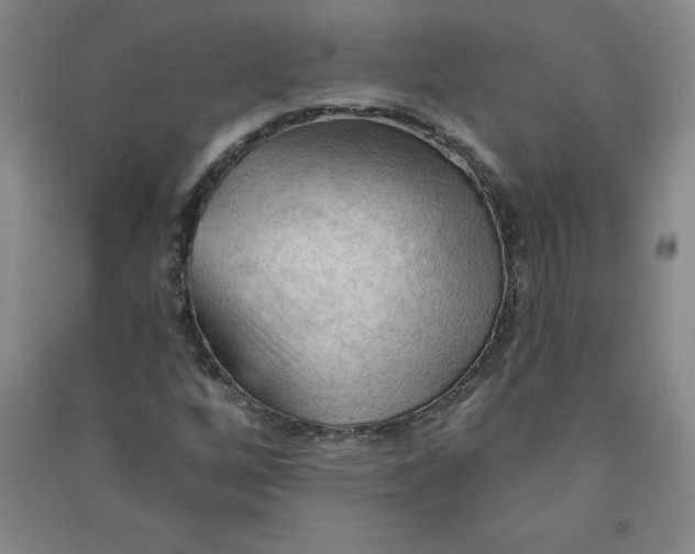 X0000090911256200708201733