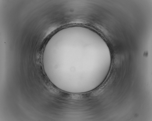 X0000090911258200708201733