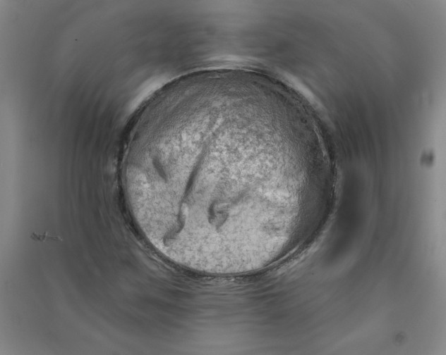 X0000090911259200708201733