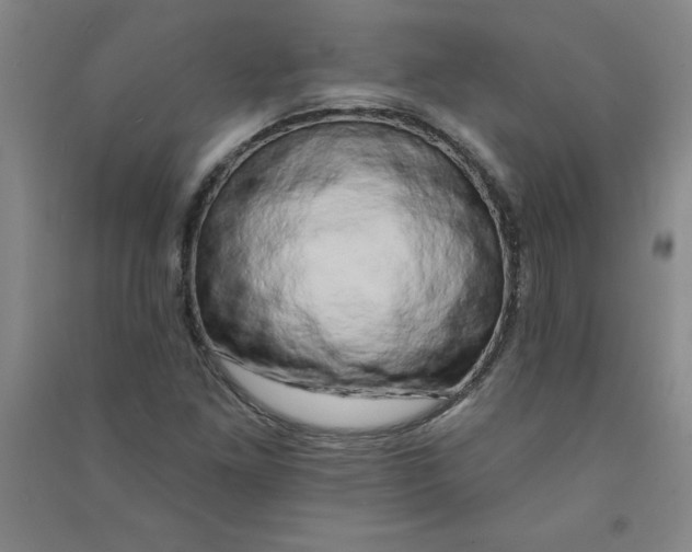 X0000090911261200708201733