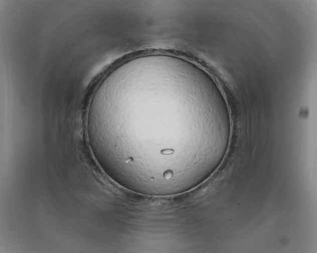 X0000090911262200708201733