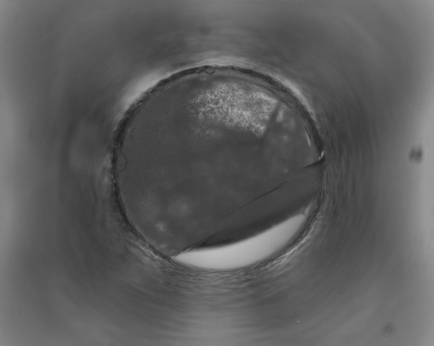 X0000090911263200708201733