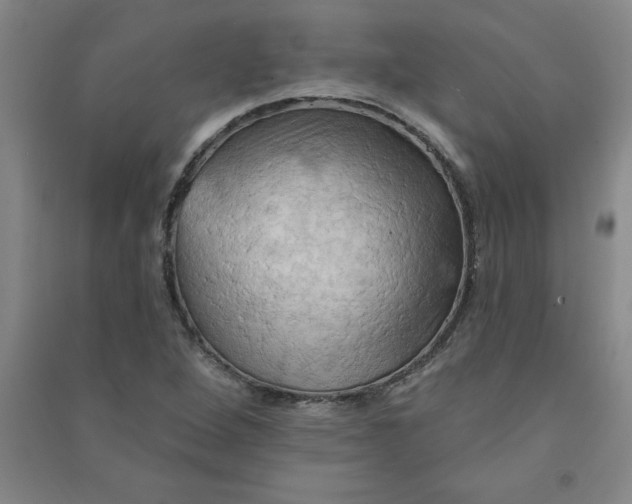 X0000090911264200708201733