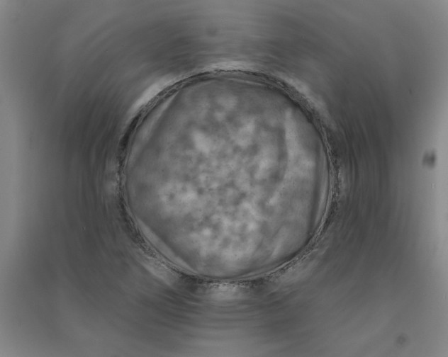 X0000090911266200708201733