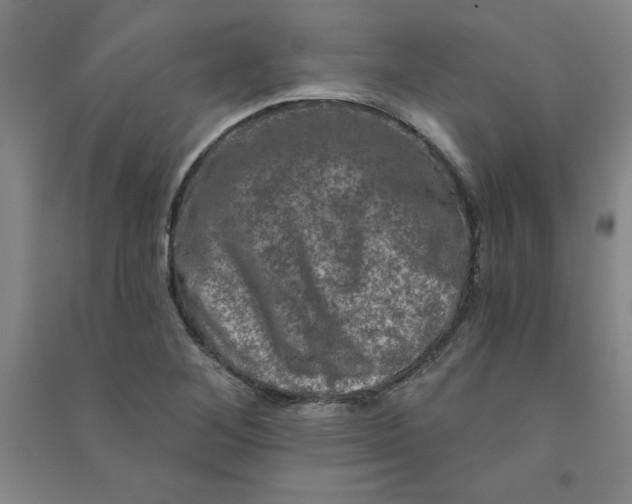 X0000090911268200708201733