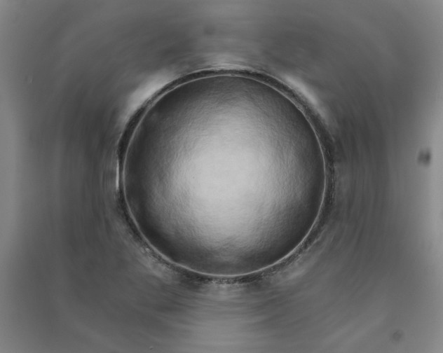 X0000090911269200708201733