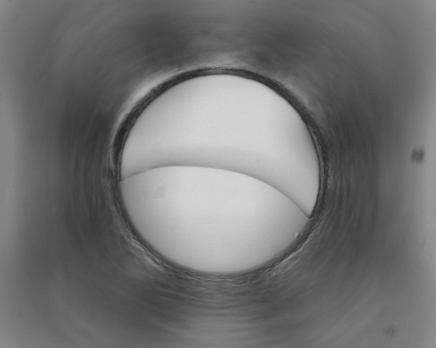 X0000090911270200708201733