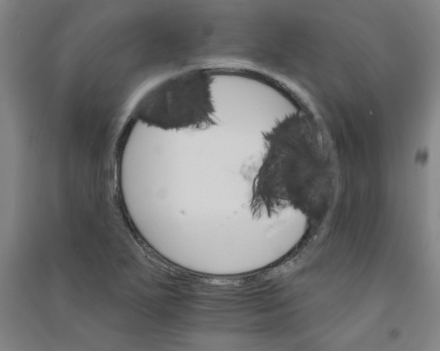 X0000090911271200708201733