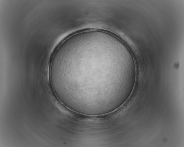 X0000090911272200708201733