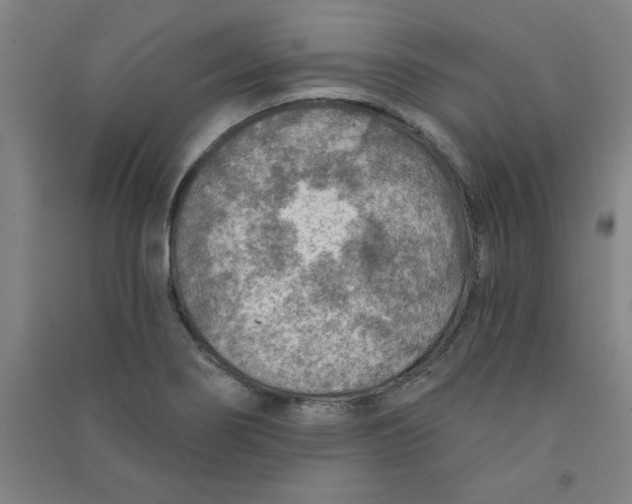 X0000090911274200708201733