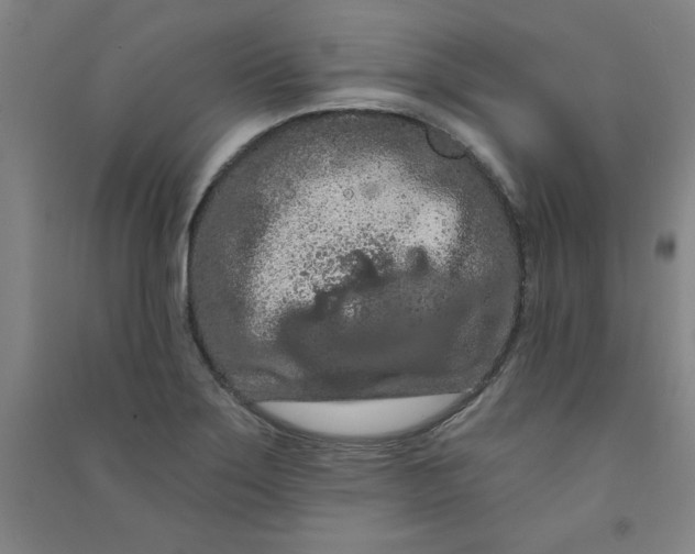 X0000090911275200708201733