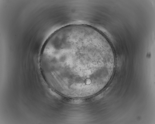 X0000090911278200708201733