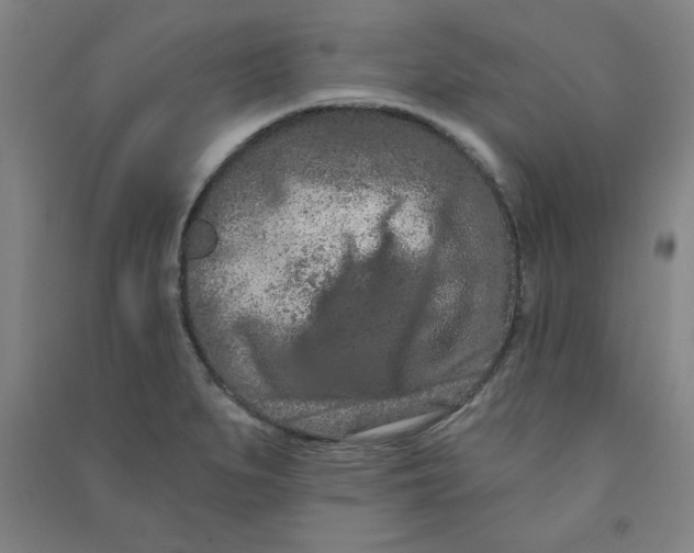 X0000090911279200708201733