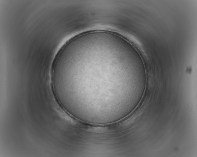 X0000090911280200708201733