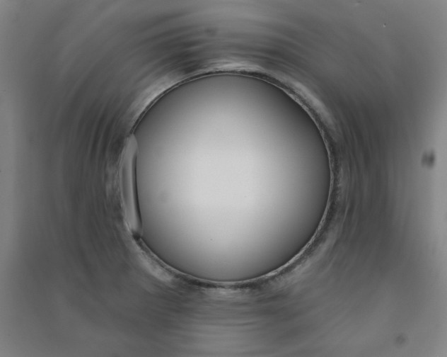 X0000090911281200708201733