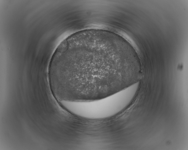 X0000090911283200708201733