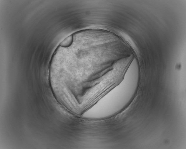 X0000090911284200708201733