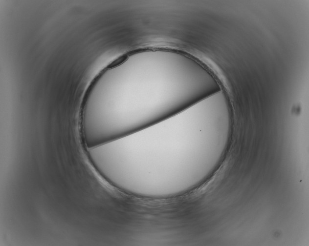 X0000090911285200708201732