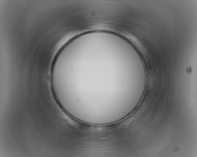 X0000090911286200708201732