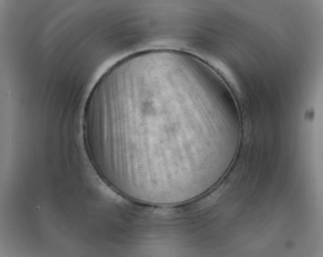 X0000090911288200708201732