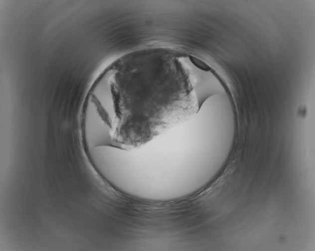 X0000090911291200708201732