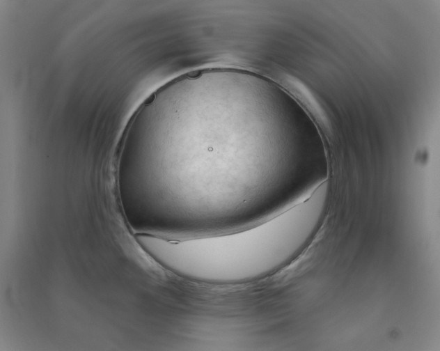 X0000090911292200708201732