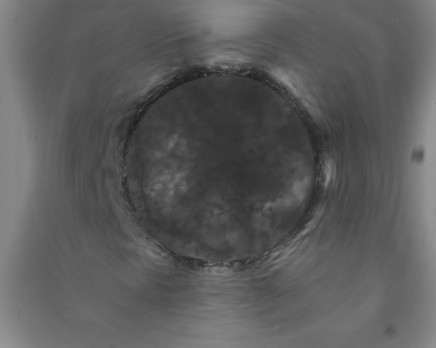 X0000090911297200708201732