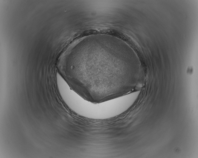 X0000090911298200708201732