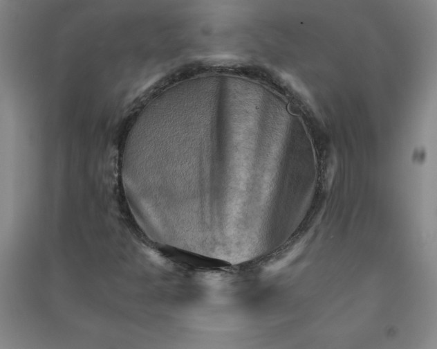 X0000090911301200708201732