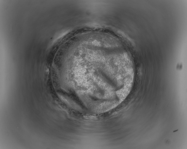 X0000090911302200708201732