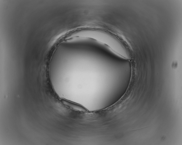 X0000090911304200708201732