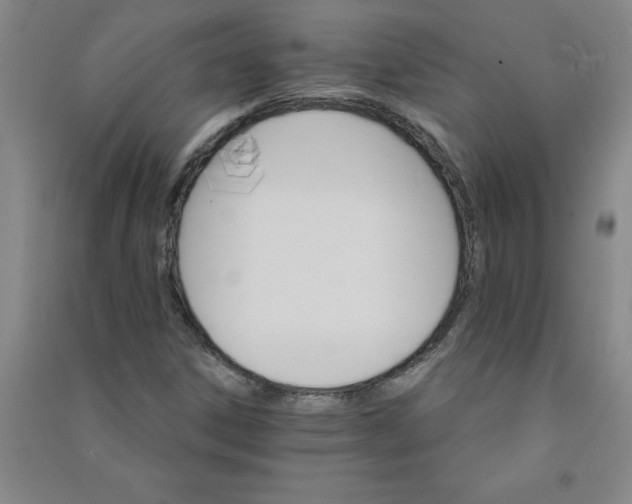 X0000090911306200708201732