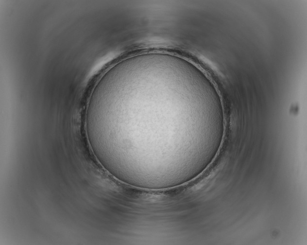 X0000090911309200708201732