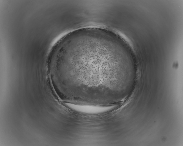 X0000090911310200708201732