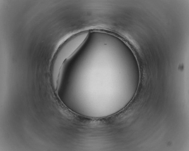 X0000090911316200708201732