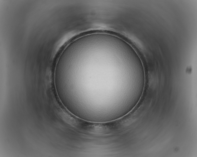 X0000090911318200708201732