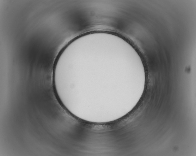 X0000090911322200708201732