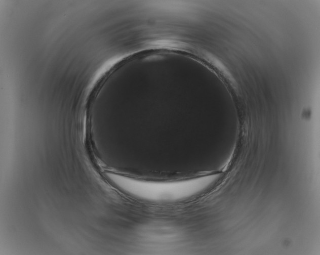 X0000090911323200708201732