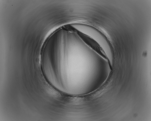 X0000090911324200708201732